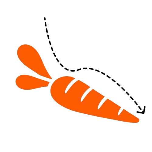 Logo Follow The Carrot